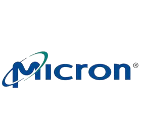Micron image